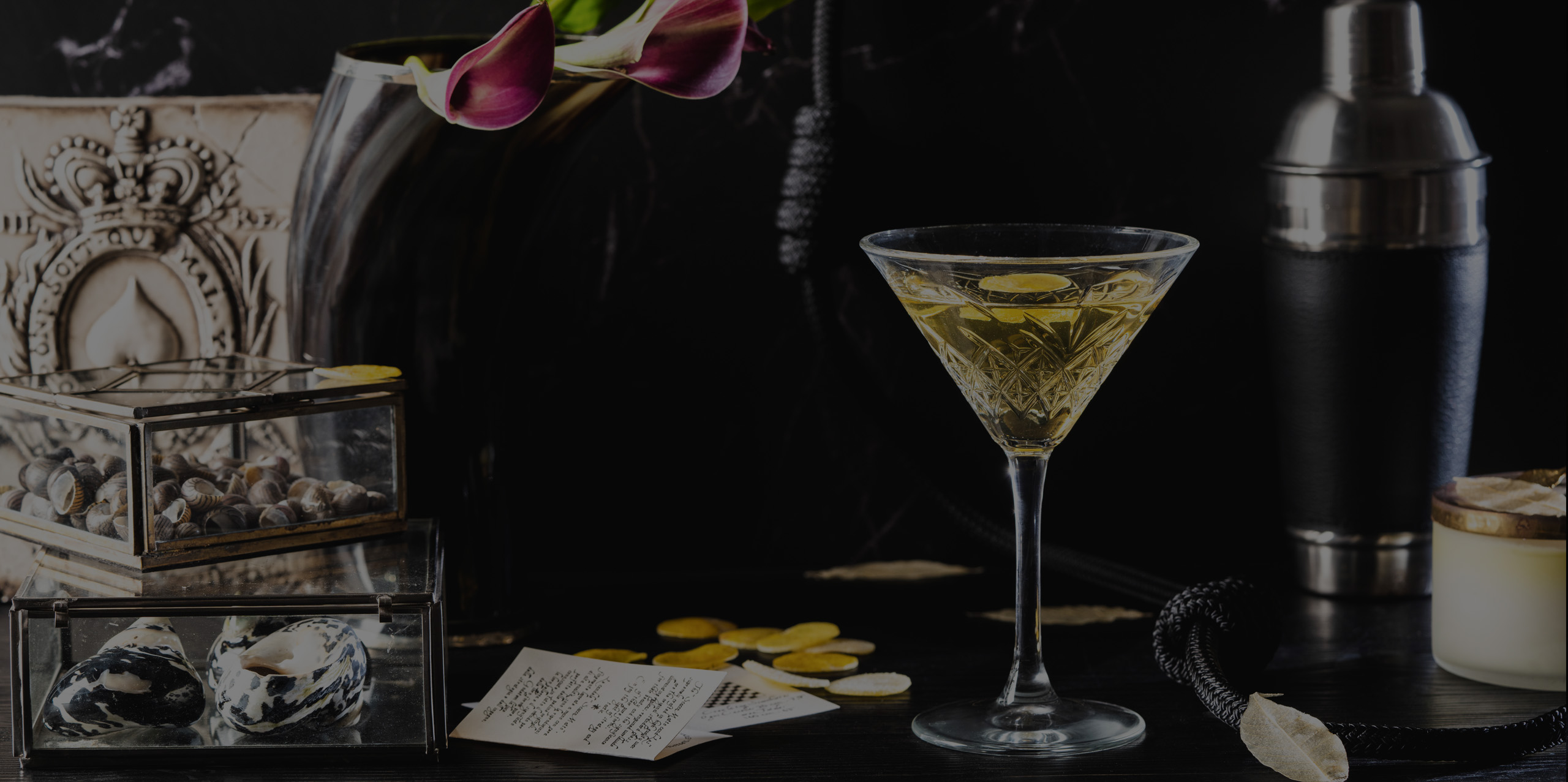 Gin Martini Rivisitato Prova la ricetta di Theresianer Gin
